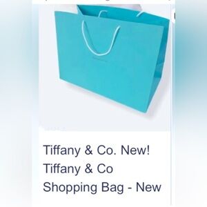 TIFFANY&COMPANY Shopping Bag! 2 Elevation Lofts Hotel And Recipe Calendar/ FREE!